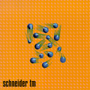 Schneider TM - Moist Cd